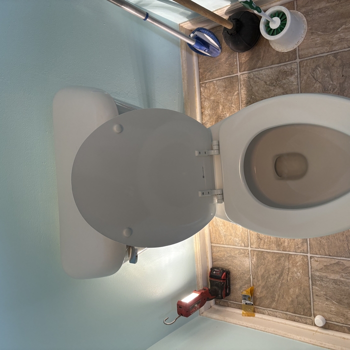New toilet seat