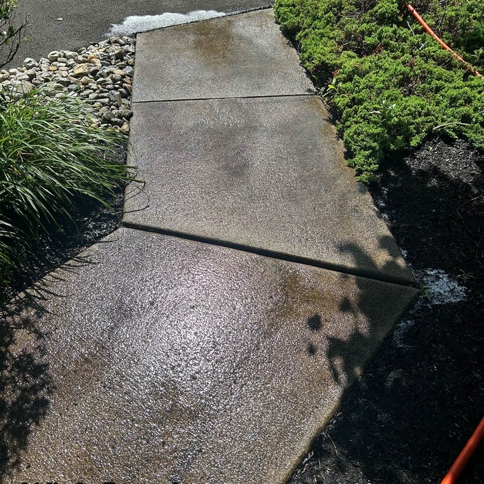 Concrete Cleaning