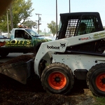 Bobcat