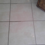 Tile & Grout Cleaning