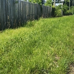 Frontage Before 3