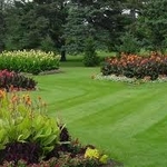 Waukesha lawn care