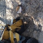 Stump Grinding