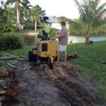 Stump Grinding
