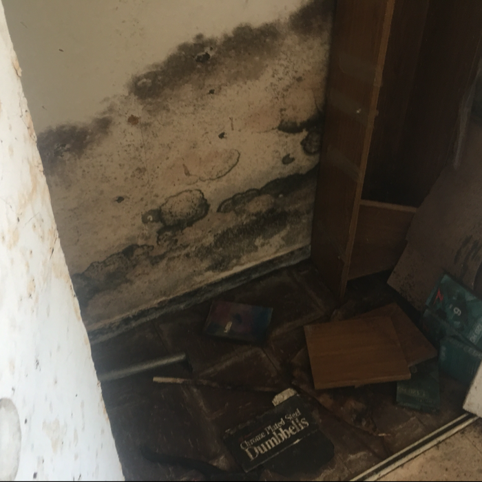 Additional Photos