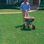 Trained Lawn Care Experts + Superior Products