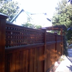 Custom Fence