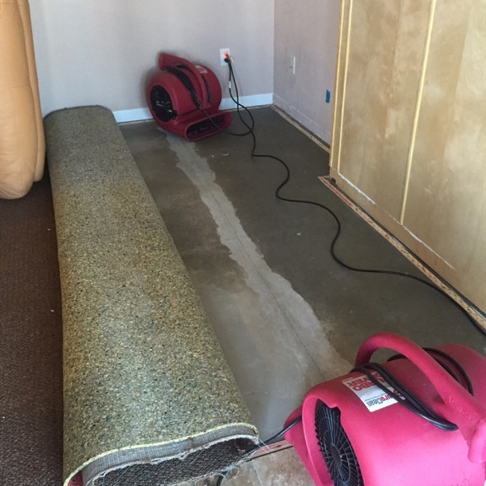 carpet was rolled to dry floor