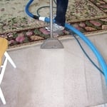 Carpet Cleaning