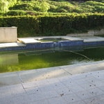 Green Pool Clean Up (before)