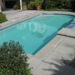 Green Pool Clean Up (after)