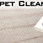 Carpet Cleaning & Repair
