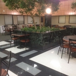 Our Waiting Room