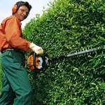 Hedge Trimming