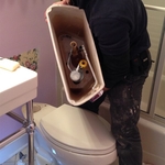 Replacing toilet