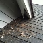 Soffits
