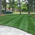 Stripes