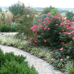 Backyard Hardscaping