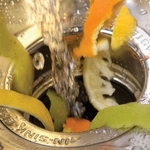 Garbage Disposals