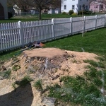 Before