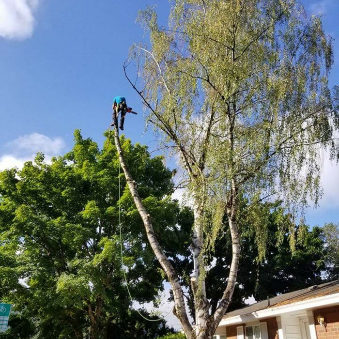 Additional Photos