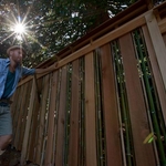 Bamboo and Cedar Fence