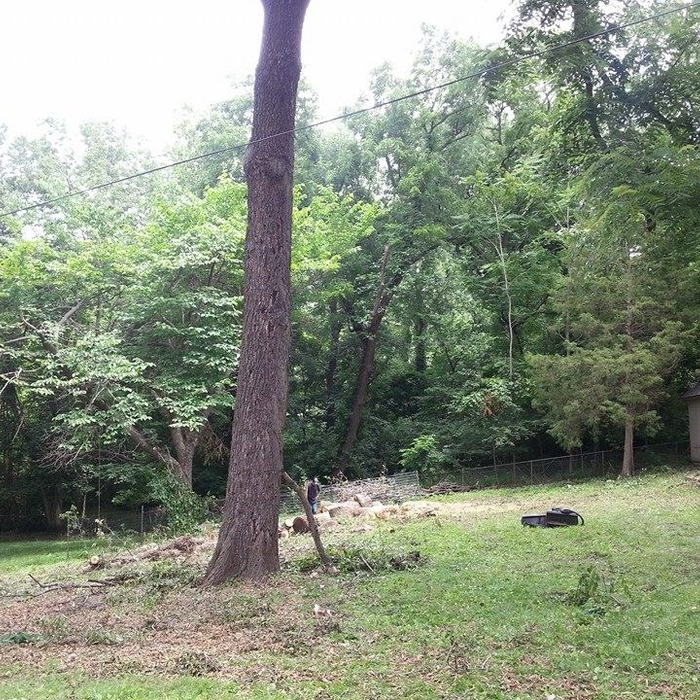 Additional Photos