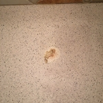 Burned Countertop