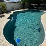 Pool & Spa Service and Repair Project