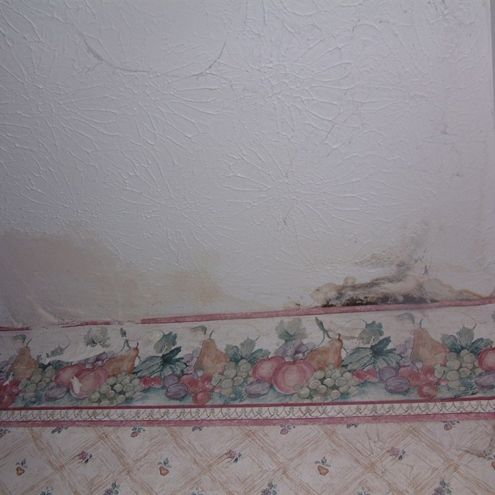 Damage