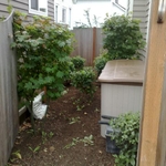Before