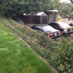Additional Photos