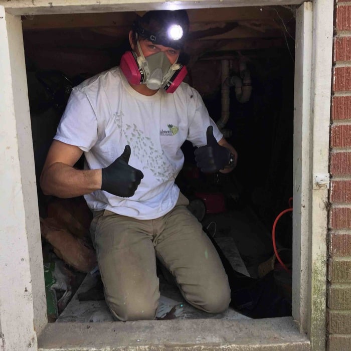Dead Animal Removal
