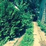 sam's lawn service