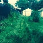 sam's lawn service