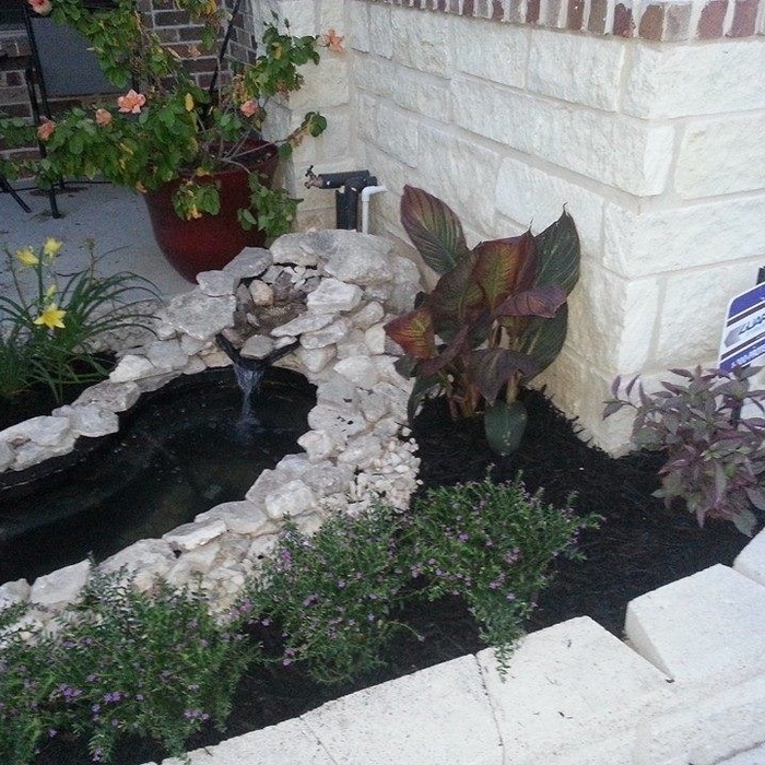 Additional Photos