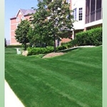 LANDSCAPE MANAGEMENT