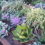 Thanksgiving Garden 2009