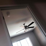 Ceiling Fan/Light