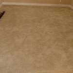 carpet