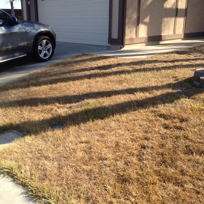 Additional Photos