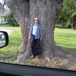 Initial picture of tree
