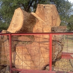 Trunk on trailer