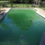 Before