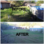 Severely Overgrown Yard