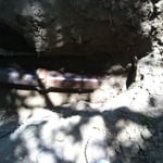 BROKEN SEWER LINE