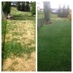 Before and after photo:
