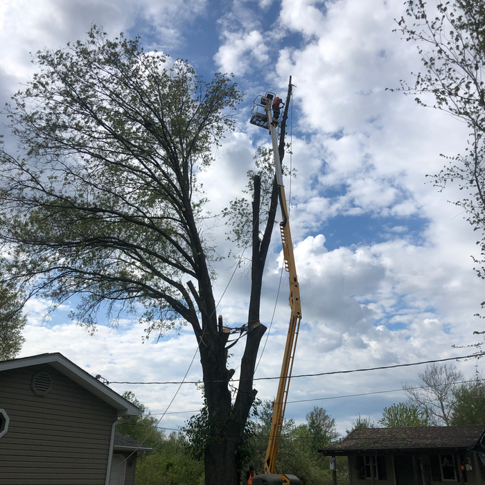 Additional Photos