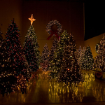 Christmas Lights Etc Showroom