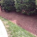 Premium Grade Mulch